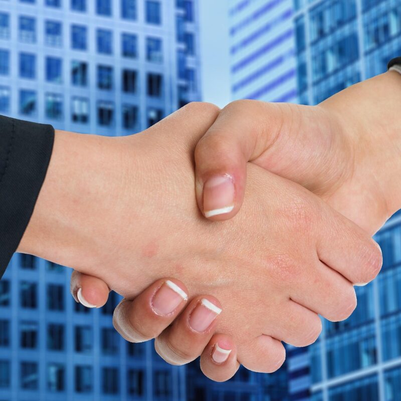 Renewal negotiation script