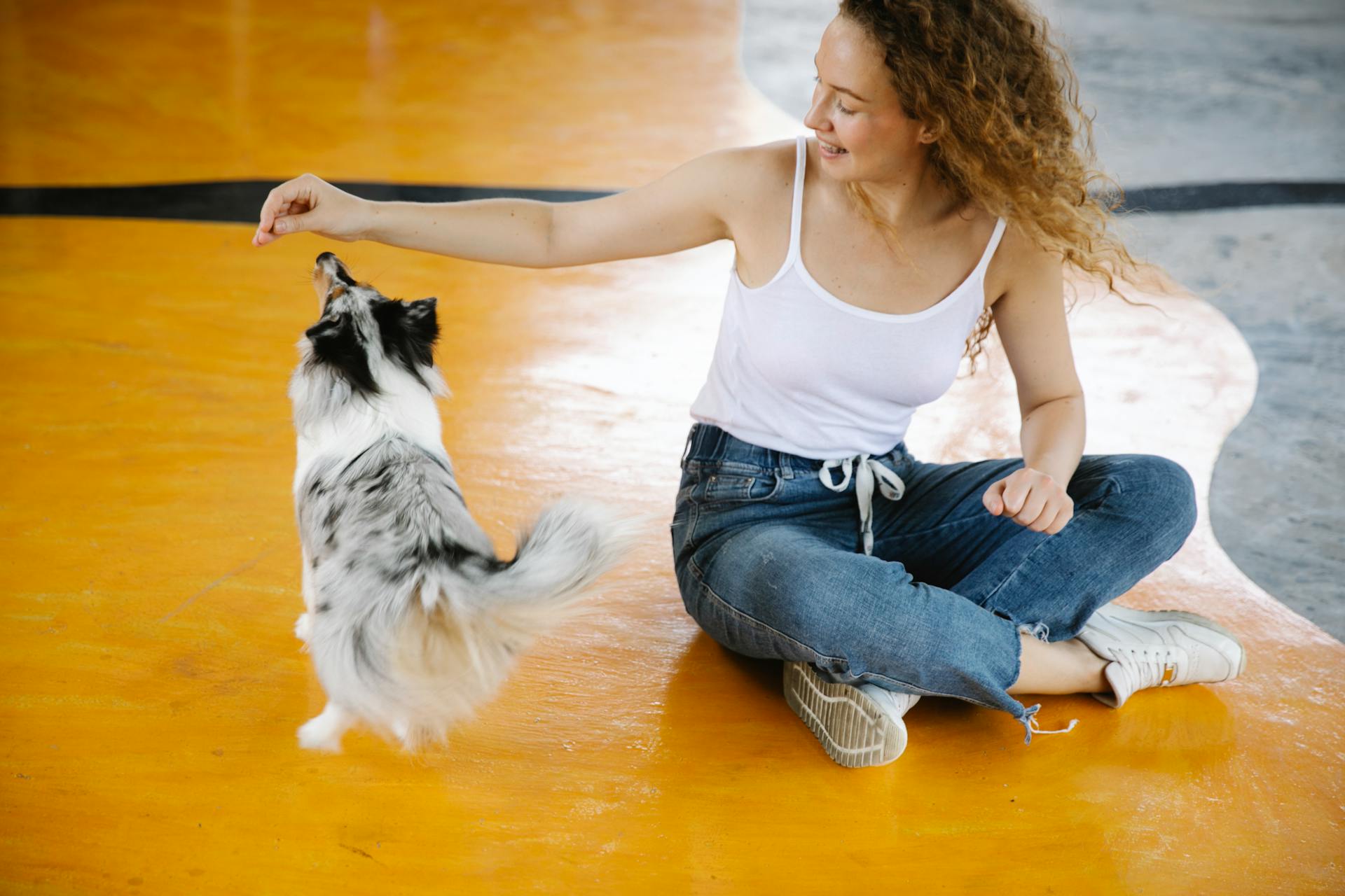 Real Price of Having a Pet